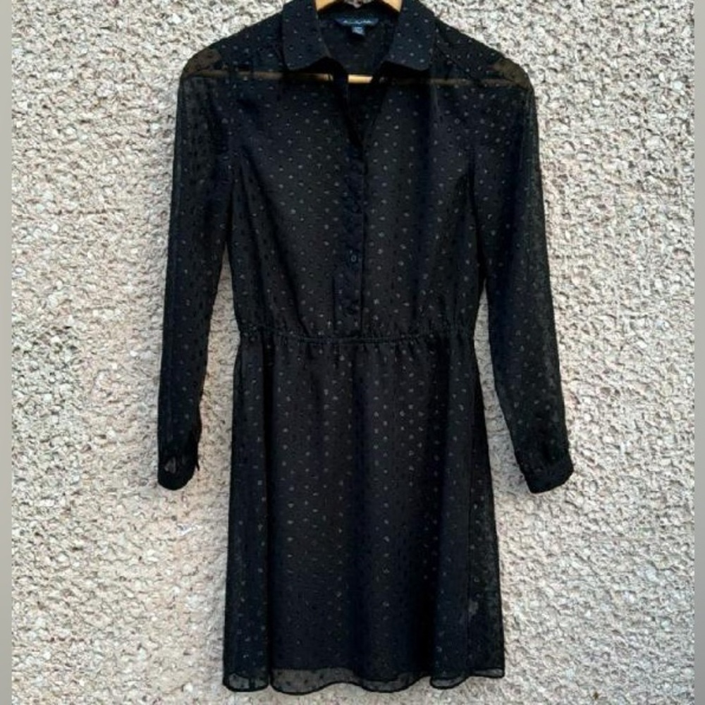 American Eagle Outfitters Sheer Polka Dot Dress